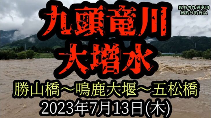 九頭竜川大増水　勝山橋～鳴鹿大堰～五松橋　2023年7月13日(木)