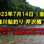 【2023鮎釣り】7月14日（金）男鹿川釣行　芹沢橋下流