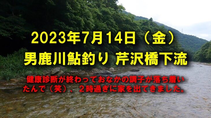 【2023鮎釣り】7月14日（金）男鹿川釣行　芹沢橋下流