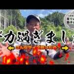 【鮎釣り】2023/7/2  上桂川でデッカ！