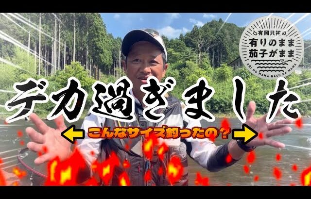 【鮎釣り】2023/7/2  上桂川でデッカ！