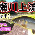 【2023年7月21日】なにこれ！？太すぎる馬瀬川のアユ！！大アユに成長するのも目前ですね