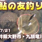 【鮎の友釣り】福井県大野市・九頭竜川2023/7/21