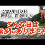 山梨県桂川漁協 桂川本流 鮎釣り 2023年7月3日 こんな日は滅多にないのでは😳