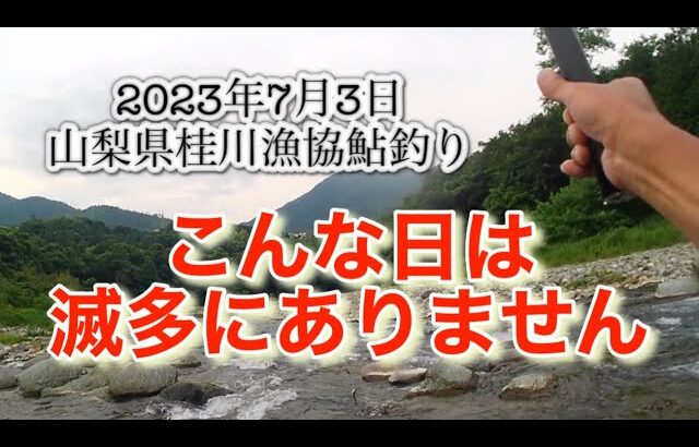 山梨県桂川漁協 桂川本流 鮎釣り 2023年7月3日 こんな日は滅多にないのでは😳