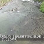 「久慈川の鮎釣り2023年7月6日」久慈川第一漁協管内