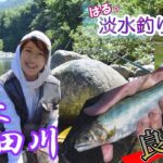 吉田川の郡上鮎を狙え！2023年初釣行ではるが自己記録達成！◆はるの淡水釣り日記◆_20230717