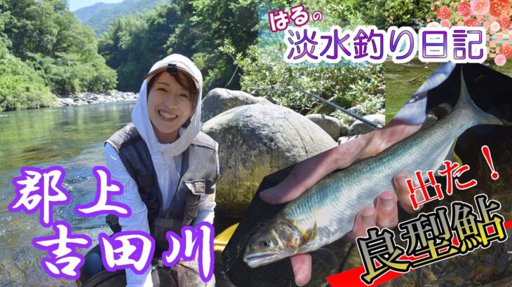 吉田川の郡上鮎を狙え！2023年初釣行ではるが自己記録達成！◆はるの淡水釣り日記◆_20230717