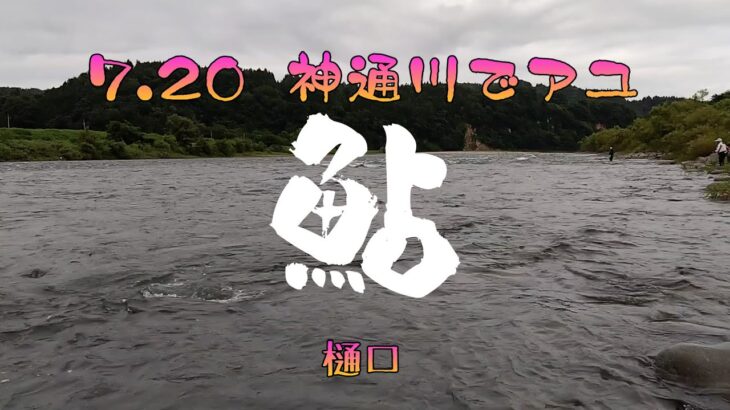 23 07 20　神通川で鮎
