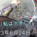 230624 【鮎釣り】高見川 木津川