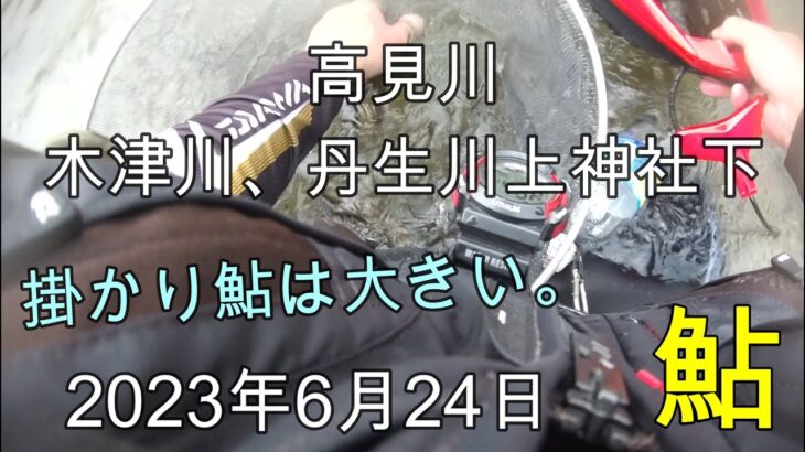 230624 【鮎釣り】高見川 木津川