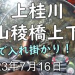 230716 【鮎釣り】上桂川 山稜橋上下