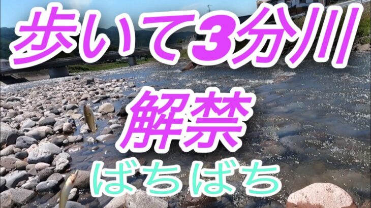 歩いて3分川解禁　バチバチ