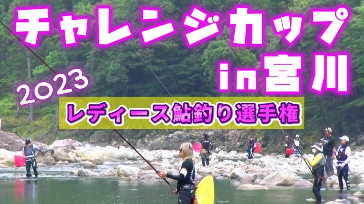 4時間で36匹釣果！？午前だけなのに20匹超え釣果が続出の、女性専門の友釣り大会「チャレンジカップin宮川　レディース鮎釣り選手権」が良く釣れて盛り上がりました！！【宮川上流 2023】
