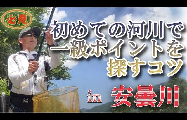 #67【必見】初めて河川での一級ポイントの見分け方★　鮎入れ追い