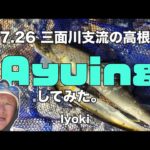 7 26 三面川支流の高根川 Ayuing してみた。