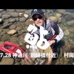7 28 神通川（新婦橋付近）で鮎