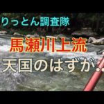 馬瀬川上流7月18日出水後の調査