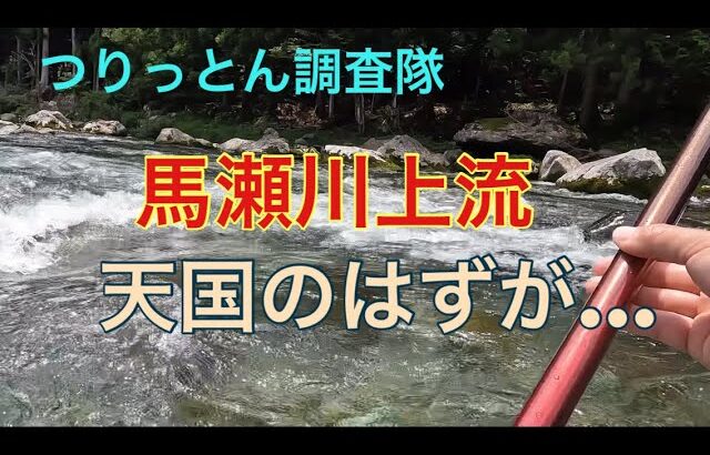 馬瀬川上流7月18日出水後の調査
