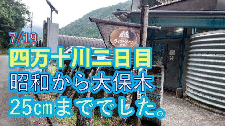 7/19 二日目の四万十川の鮎釣り、また釣り場選択ミス？