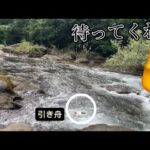 【鮎釣り】7/20 掛けた瞬間に引き舟が流されて行きました
