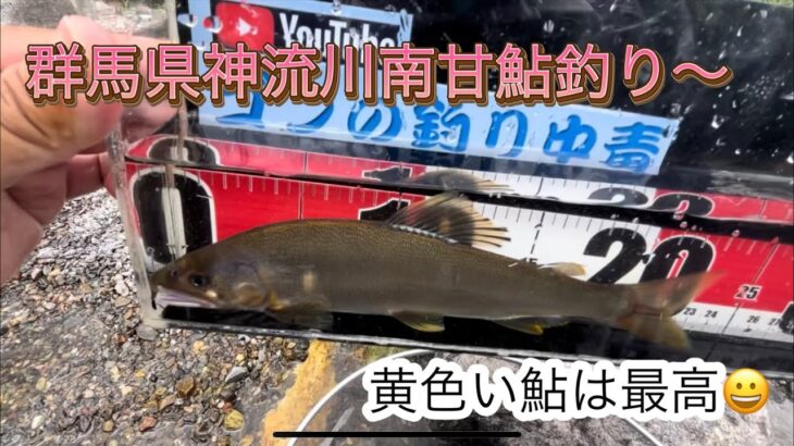 7月20日群馬県神流川南甘鮎釣り〜