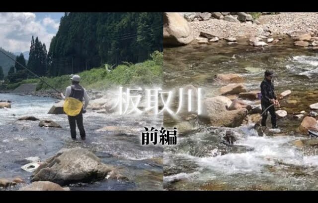 【鮎釣り】7/23 4年ぶりの岐阜県板取川へ　2夜連続(前編)