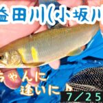 益田川(小坂川)　美鮎ちゃんに逢いに♪鮎釣り　7/25 2023
