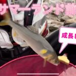 7月8日秋川サマーランド前にて鮎釣り