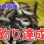 束釣り達成！！宮川下流   HD 1080p