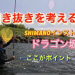 引き抜きを考える！【ドラゴン坂本】HOWTO鮎釣り