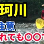 【鮎釣り 那珂川】緊急 セミファイナル 直前！これを知って備える River Healing Channel （リバヒ）