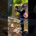 鮎が釣れる川でアユイングやってみた！#shorts #アユイング#鮎釣り