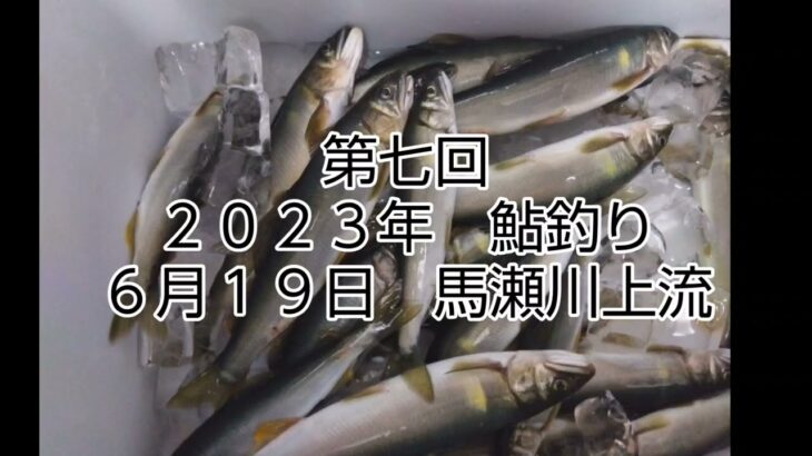 第七回　鮎釣り　２０２３年　６月１９日　馬瀬川上流
