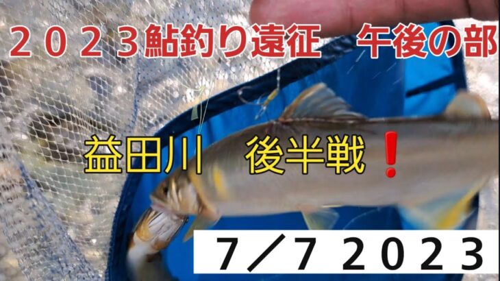 益田川(小坂川)　鮎釣り遠征２ 後半戦❗午後の部♪２０２３ ７／７