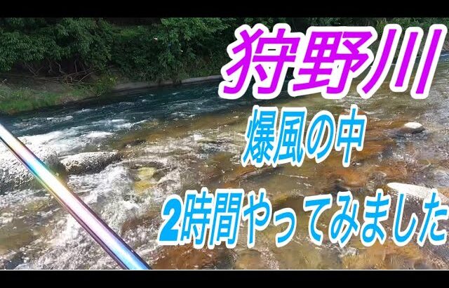 狩野川の下見　質問が来たので回答しながら　鰻も