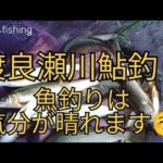 【鮎釣り】渡良瀬川　大きな鮎とたわむれて、いろんな悩み忘れよう☺️