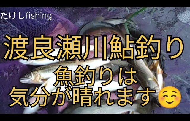 【鮎釣り】渡良瀬川　大きな鮎とたわむれて、いろんな悩み忘れよう☺️