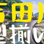 吉田川は型揃い❗