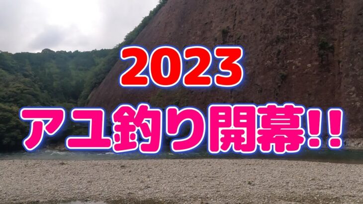 【鮎釣り】やっと開幕！古座川の鮎釣り！