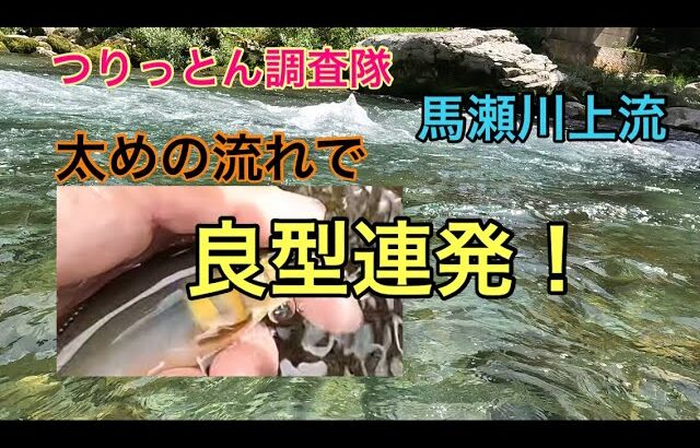 伊藤正弘名人と入れ掛かりを楽しめました❤️