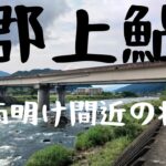 郡上鮎。梅雨明け間近の状況。