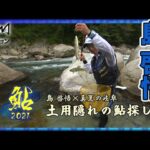 【島啓悟×岐阜:宮川】真夏の岐阜で狙う、土用隠れの「あばれ鮎」　釣りビジョン：鮎