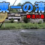 関東一の清流、神流川での鮎釣りが衝撃だった件【上野村】
