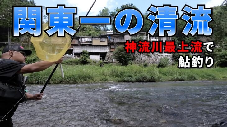 関東一の清流、神流川での鮎釣りが衝撃だった件【上野村】