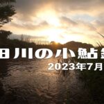 【小鮎釣り】今回は延べ竿も購入し気合十分！爆釣となるか？