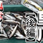 【後編】久慈川支流里川”鮎”異常発生！