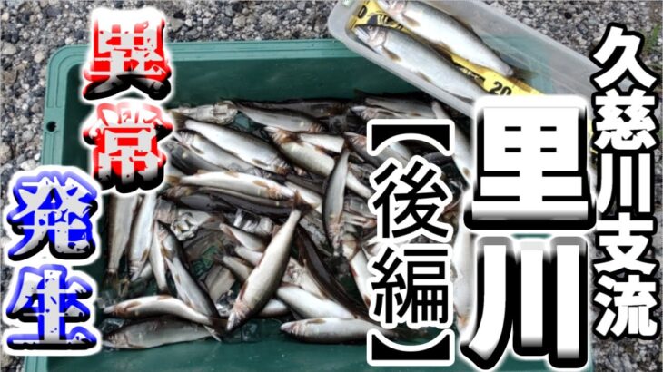 【後編】久慈川支流里川”鮎”異常発生！