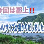 ポンコツ親父の鮎釣り