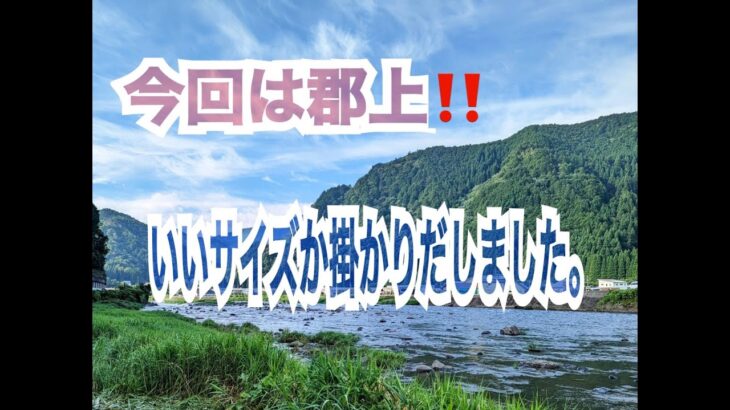ポンコツ親父の鮎釣り
